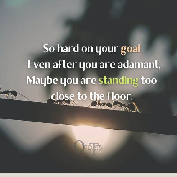 Good Morning Quotes