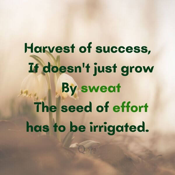 Self Success Quotes