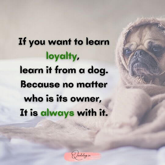 Success Quotes For Girls