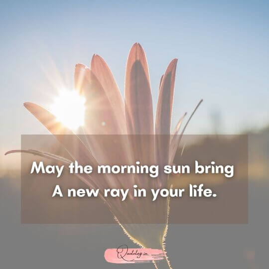Life Success Quotes