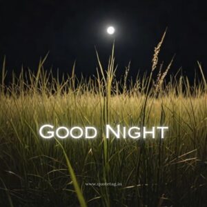 गुड नाईट जी