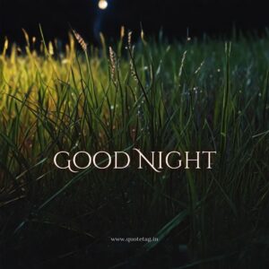 ब्यूटीफुल गुड नाईट फोटो