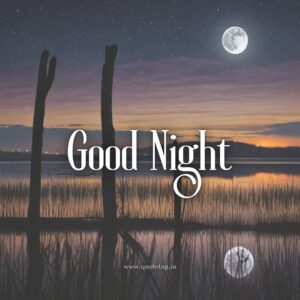 दोस्त गुड नाईट शायरी