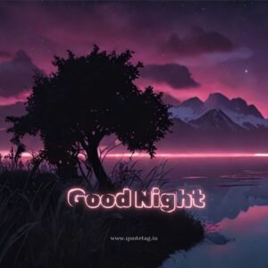 Good Night Pic