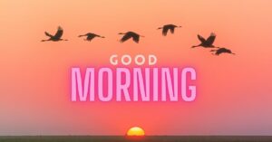 Good Morning Quotes