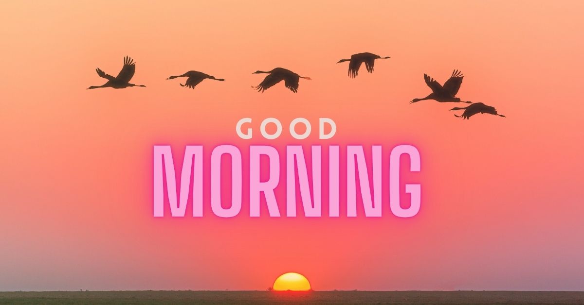 101+ Best Good Morning Quotes in Hindi | शुभ प्रभात सुविचार